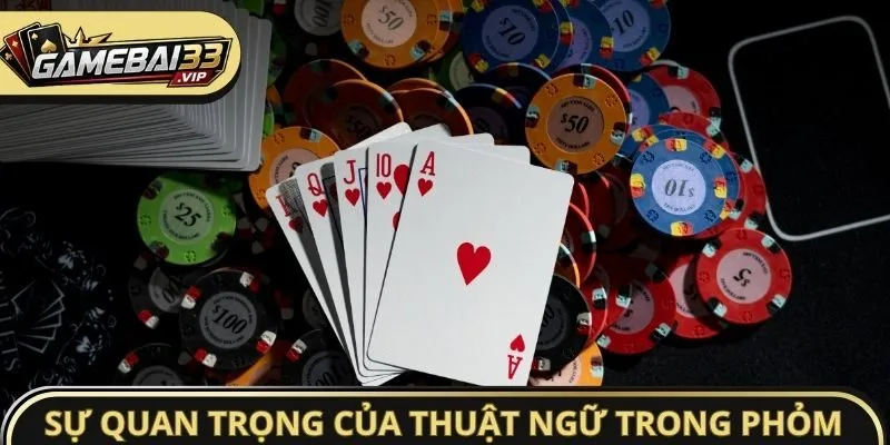 Mức độ quan trọng của thuật ngữ trong Phỏm